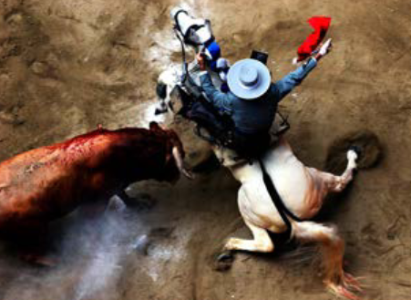 Mención de honor en los premios World Press Photo 2009, categoría Temas contemporáneos.